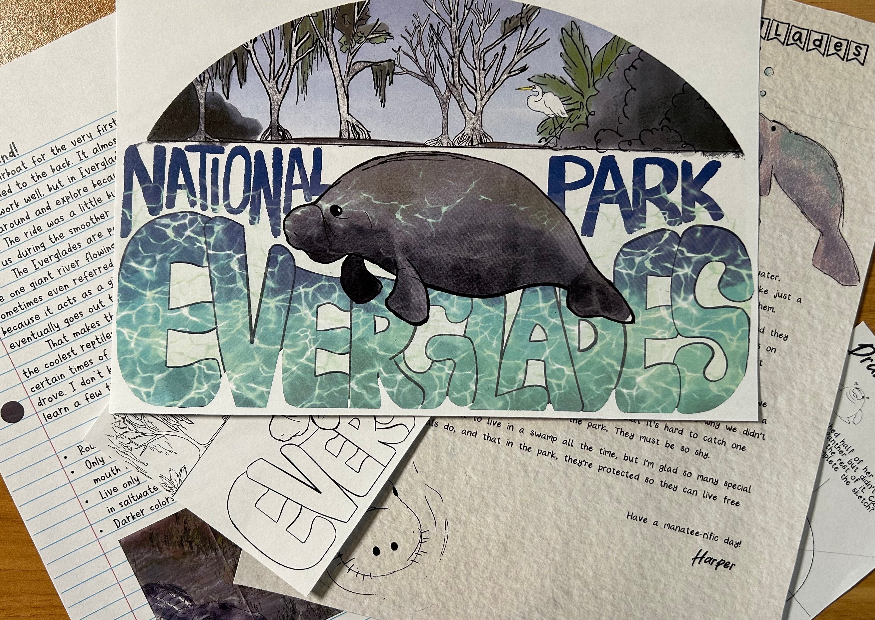 Collage with a manatee illustration and 'National Seawall Park' text on a textured surface.